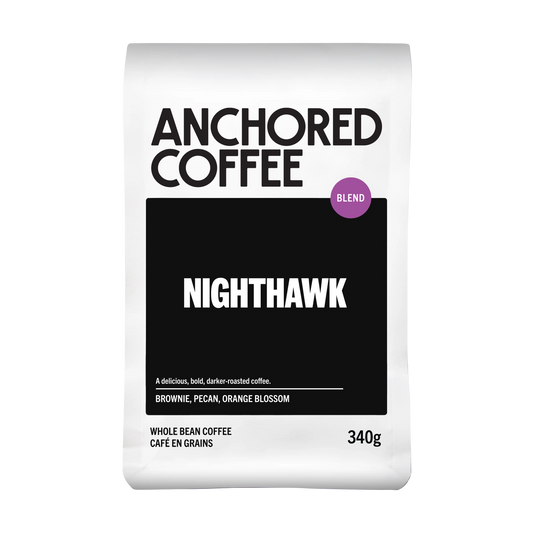 Anchored  Nighthawk